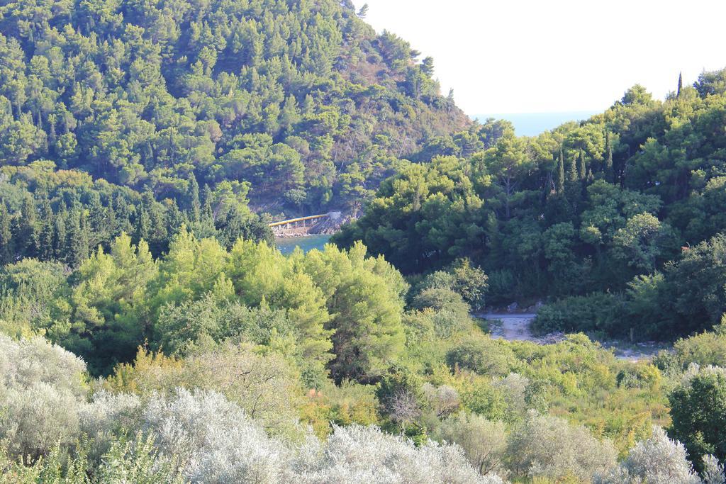 4M Apartments Petrovac Room photo